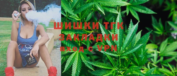 мет Новозыбков